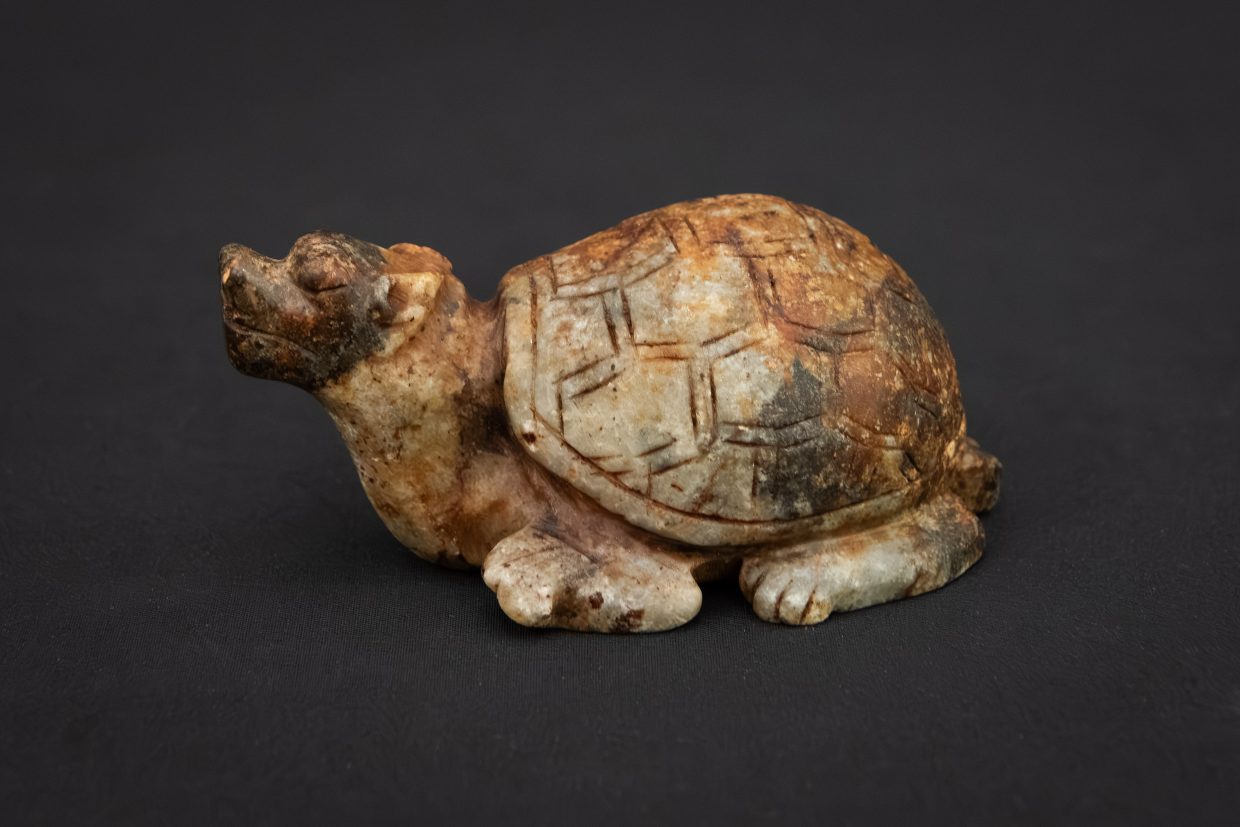 ANU_9753 Neolithic Jade Tortoise Carving