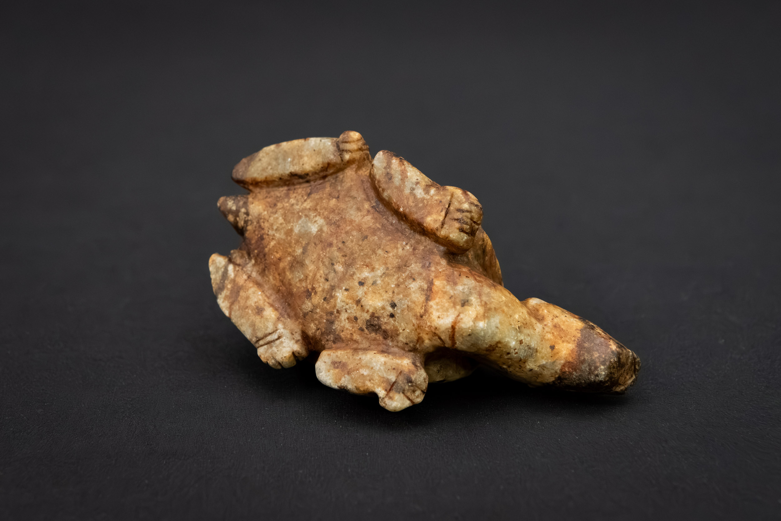 ANU_9757 Neolithic Jade Tortoise Carving